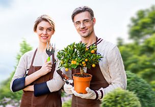 Проект «под ключ» где можно заказать по низкой цене  в Балашихе