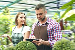 Дендроплан - верное планирование территории и решения этой задачи на уровне  в Балашихе