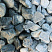 Kamenclub.ru: Щебень галтованный зеленый (змеевик) фр. 50-100 мм.  купить в Балашихе галтовка мраморная зеленый, салатовый мрамор 12 500 руб/т   фото КАМЕНЬ КЛУБ