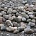 Kamenclub.ru: Речной валун (Ассорти) фр.100-300 мм.  купить в Балашихе галечник серый, темно-серый, светло-серый речная галька крупных размеров 4200 руб/т   фото КАМЕНЬ КЛУБ