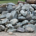 Kamenclub.ru: Гранит скальник (серо-зеленый) фр. 100-500 мм.  купить в Балашихе гранит зеленый, серый, салатовый крупный ландшафтный валун 6 000 руб/т   фото КАМЕНЬ КЛУБ