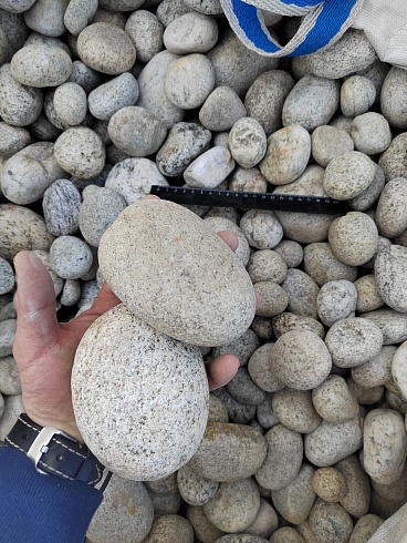 Kamenclub.ru: Галька речная окат (серо-белая) фр. 70-120 мм купить  в Балашихе галька галечник бело-серая, серо-белая, серая, белая речная природная галька  8000 руб/т   фото КАМЕНЬ КЛУБ