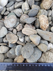 Kamenclub.ru: Галька речная окат (пестрая) фр. 20-40 мм. купить  в Балашихе галька речная пестрая, серая, серые оттенки галька речная окатанная округлая 5000 руб/т   фото КАМЕНЬ КЛУБ