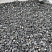 Kamenclub.ru: Щебень крошка черный (мрамор) фр. 10-20 мм.  купить в Балашихе мрамор черный с белыми прожилками, черный, белый каменная ландшафтная декоративная крошка щебня 11000 руб/т   фото КАМЕНЬ КЛУБ