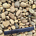 Kamenclub.ru: Галька речная окат рыжая фр. 20-40 мм. купить  в Балашихе галька речная окатанная рыжая желтая серая округлая речная галька 5000 руб/т   фото КАМЕНЬ КЛУБ