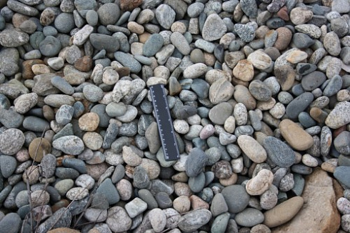 Kamenclub.ru: Галька речная окат (пестрая) фр. 20-40 мм. купить  в Балашихе галька речная пестрая, серая, серые оттенки галька речная окатанная округлая 5000 руб/т   фото КАМЕНЬ КЛУБ