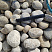 Kamenclub.ru: Галька речная окат (серо-белая) фр. 70-120 мм купить  в Балашихе галька галечник бело-серая, серо-белая, серая, белая речная природная галька  8000 руб/т   фото КАМЕНЬ КЛУБ