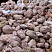 Kamenclub.ru: Розовый валунчик фр.100-300 мм.  купить в Балашихе крупный природный камень розовый, серый молочный красный речной галечник природный 7850 руб/т   фото КАМЕНЬ КЛУБ