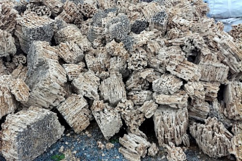 Kamenclub.ru: Крымский природный меотис фр. 100-500 мм.  купить в Балашихе меотис бежевый рыжий молочный желтый ракушечник 4 500 руб/т   фото КАМЕНЬ КЛУБ