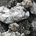 Kamenclub.ru: Черный гранит - кварцит фр. 100-500 мм.  купить в Балашихе мрамор гранит черный с белыми прожилками, серый, белый валун скальный колотый 7000 руб/т   фото КАМЕНЬ КЛУБ