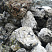 Kamenclub.ru: Черный гранит - кварцит фр. 100-500 мм.  купить в Балашихе мрамор гранит черный с белыми прожилками, серый, белый валун скальный колотый 7000 руб/т   фото КАМЕНЬ КЛУБ