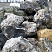 Kamenclub.ru: Черный гранит - кварцит фр. 500-1000 мм.  купить в Балашихе гранит кварцит черный серый белый скальный колотый валун 9750 руб/т   фото КАМЕНЬ КЛУБ