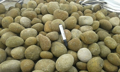 Kamenclub.ru: Песчаник ядра, фр. 100-300 мм  купить в Балашихе песчаник бежевый серый рыжий речная галька 5 000 руб/т   фото КАМЕНЬ КЛУБ