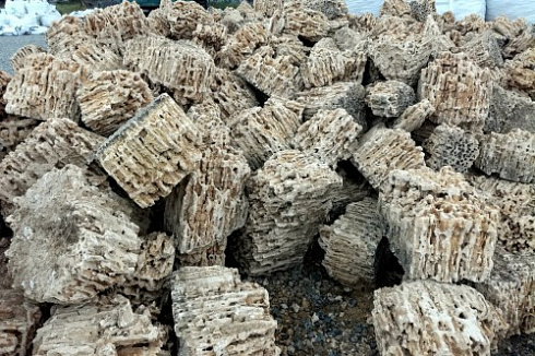 Kamenclub.ru: Крымский природный меотис фр. 100-500 мм.  купить в Балашихе меотис бежевый рыжий молочный желтый ракушечник 4 500 руб/т   фото КАМЕНЬ КЛУБ