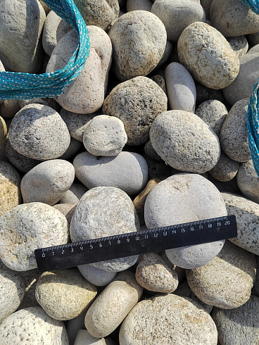 Kamenclub.ru: Галька речная окат (серо-белая) фр. 70-120 мм купить  в Балашихе галька галечник бело-серая, серо-белая, серая, белая речная природная галька  8000 руб/т   фото КАМЕНЬ КЛУБ