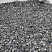Kamenclub.ru: Щебень крошка черный (мрамор) фр. 20-40 мм.  купить в Балашихе мрамор черный с белыми прожилками мраморная каменная крошка 11000 руб/т   фото КАМЕНЬ КЛУБ