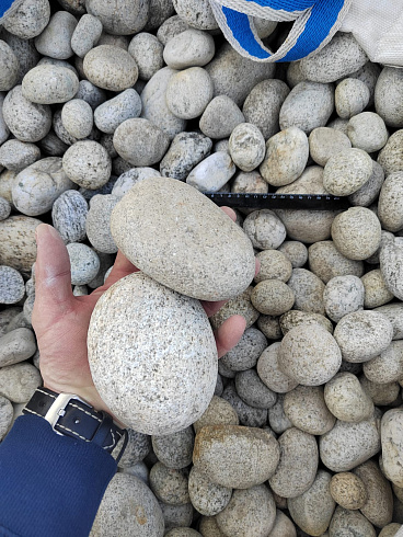 Kamenclub.ru: Галька речная окат (серо-белая) фр. 70-120 мм купить  в Балашихе галька галечник бело-серая, серо-белая, серая, белая речная природная галька  8000 руб/т   фото КАМЕНЬ КЛУБ