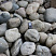 Kamenclub.ru: Темно-серый валунчик фр.100-300 мм.  купить в Балашихе крупный природный камень серый, темно-серый, светло-серый речная галька большого размера окатанная 4500 руб/т   фото КАМЕНЬ КЛУБ