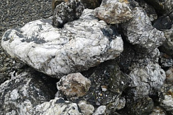 Kamenclub.ru: Черный гранит - кварцит фр. 500-1000 мм.  купить в Балашихе гранит кварцит черный серый белый скальный колотый валун 9750 руб/т   фото КАМЕНЬ КЛУБ