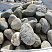 Kamenclub.ru: Речной валун (Ассорти) фр.100-300 мм.  купить в Балашихе галечник серый, темно-серый, светло-серый речная галька крупных размеров 4200 руб/т   фото КАМЕНЬ КЛУБ