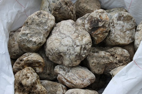 Kamenclub.ru: Кварцевый валунчик фр.100-300 мм.  купить в Балашихе кварц белый, бежевый молочный рыжий крупный природный камень галечник 7850 руб/т   фото КАМЕНЬ КЛУБ