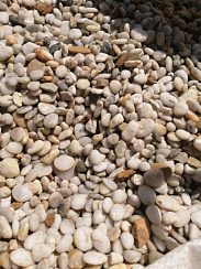 Галька Крымская Жемчужина фр. 10-20 мм.  купить в Балашихе фото Камень Клуб