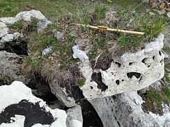 Kamenclub.ru: Выветренный известняк (степной) фр. 500-1500 мм.  купить в Балашихе    10000 руб/т   фото КАМЕНЬ КЛУБ