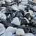 Kamenclub.ru: Мраморная крошка (щебень галтованный микс:: белый-черный) фр.20-40 мм  купить в Балашихе мрамор белый, черный мраморный галтованный щебень 15500 руб/т   фото КАМЕНЬ КЛУБ