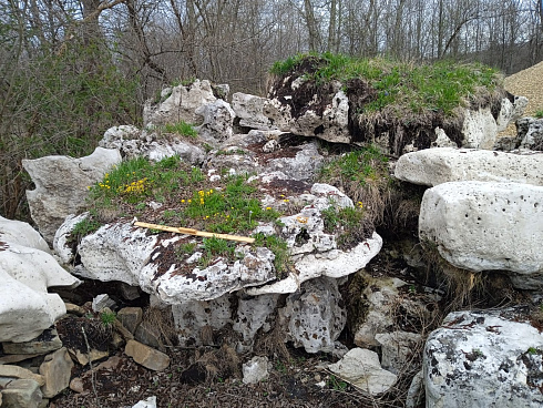 Kamenclub.ru: Выветренный известняк со мхом фр. 100-500 мм.  купить в Балашихе известняк серый белый зеленый валун известняковый крупный 10000 руб/т   фото КАМЕНЬ КЛУБ