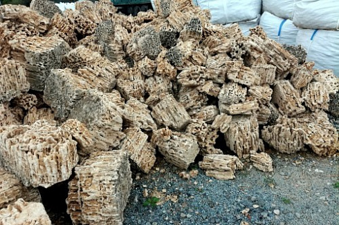 Kamenclub.ru: Крымский природный меотис фр. 100-500 мм.  купить в Балашихе меотис бежевый рыжий молочный желтый ракушечник 4 500 руб/т   фото КАМЕНЬ КЛУБ