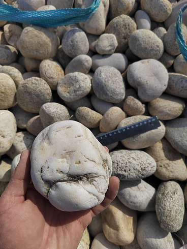 Kamenclub.ru: Галька речная окат (серо-белая) фр. 70-120 мм купить  в Балашихе галька галечник бело-серая, серо-белая, серая, белая речная природная галька  8000 руб/т   фото КАМЕНЬ КЛУБ