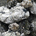 Kamenclub.ru: Черный гранит - кварцит фр. 100-500 мм.  купить в Балашихе мрамор гранит черный с белыми прожилками, серый, белый валун скальный колотый 7000 руб/т   фото КАМЕНЬ КЛУБ