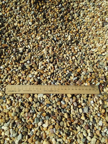 Kamenclub.ru: Галька окат (серо-желтая) фр.5-10 мм. купить  в Балашихе галька речная рыжий, желтый, рыжий, серо-желтый речная окатанная галька декоративная 5000 руб/т   фото КАМЕНЬ КЛУБ