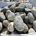 Kamenclub.ru: Речной валун (Ассорти) фр.100-300 мм.  купить в Балашихе галечник серый, темно-серый, светло-серый речная галька крупных размеров 4200 руб/т   фото КАМЕНЬ КЛУБ