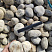 Kamenclub.ru: Галька речная окат (серо-белая) фр. 70-120 мм купить  в Балашихе галька галечник бело-серая, серо-белая, серая, белая речная природная галька  8000 руб/т   фото КАМЕНЬ КЛУБ