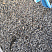 Kamenclub.ru: Галька речная окат (серая) фр.3-5 мм купить  в Балашихе галька речная серая бежевый темно-серый окатанный речной камень округлый 9500 руб/т   фото КАМЕНЬ КЛУБ