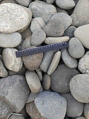 Kamenclub.ru: Галька речная плоская (ассорти) фр. 70-150 мм. купить в Балашихе галька галечник серый белый темно-серый синий светло-серый плоская природная галька  9000 руб/т   фото КАМЕНЬ КЛУБ