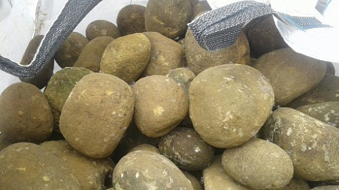 Kamenclub.ru: Песчаник ядра, фр. 100-300 мм  купить в Балашихе песчаник бежевый серый рыжий речная галька 5 000 руб/т   фото КАМЕНЬ КЛУБ