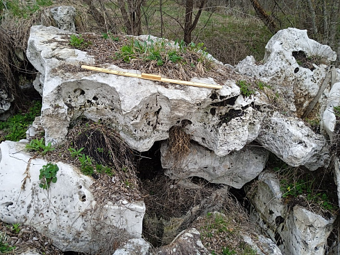 Kamenclub.ru: Выветренный известняк со мхом фр. 100-500 мм.  купить в Балашихе известняк серый белый зеленый валун известняковый крупный 10000 руб/т   фото КАМЕНЬ КЛУБ