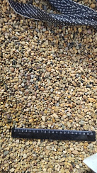 Kamenclub.ru: Галька окат (серо-желтая) фр.5-10 мм. купить  в Балашихе галька речная рыжий, желтый, рыжий, серо-желтый речная окатанная галька декоративная 5000 руб/т   фото КАМЕНЬ КЛУБ