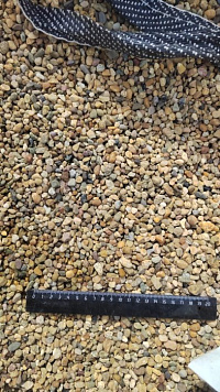 Kamenclub.ru: Галька окат (серо-желтая) фр.5-10 мм. купить  в Балашихе галька речная рыжий, желтый, рыжий, серо-желтый речная окатанная галька декоративная 5000 руб/т   фото КАМЕНЬ КЛУБ