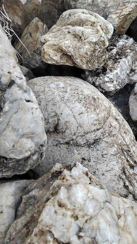 Kamenclub.ru: Кварцевый валунчик фр.100-300 мм.  купить в Балашихе кварц белый, бежевый молочный рыжий крупный природный камень галечник 7850 руб/т   фото КАМЕНЬ КЛУБ