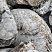 Kamenclub.ru: Кварцевый валунчик фр.100-300 мм.  купить в Балашихе кварц белый, бежевый молочный рыжий крупный природный камень галечник 7850 руб/т   фото КАМЕНЬ КЛУБ