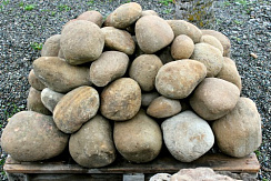 Kamenclub.ru: Песчаник ядра, фр. 100-300 мм  купить в Балашихе песчаник бежевый серый рыжий речная галька 5 000 руб/т   фото КАМЕНЬ КЛУБ