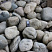 Kamenclub.ru: Речной валун (Ассорти) фр.100-300 мм.  купить в Балашихе галечник серый, темно-серый, светло-серый речная галька крупных размеров 4200 руб/т   фото КАМЕНЬ КЛУБ