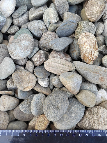 Kamenclub.ru: Галька речная окат (серая) фр.40-60 мм купить  в Балашихе галька речная серый бежевый рыжий коричневый округлый речной камень 5000 руб/т   фото КАМЕНЬ КЛУБ