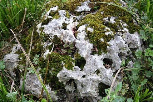 Kamenclub.ru: Выветренный известняк со мхом фр. 100-500 мм.  купить в Балашихе известняк серый белый зеленый валун известняковый крупный 10000 руб/т   фото КАМЕНЬ КЛУБ