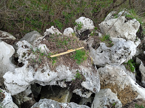 Kamenclub.ru: Выветренный известняк (степной) фр. 500-1500 мм.  купить в Балашихе    10000 руб/т   фото КАМЕНЬ КЛУБ