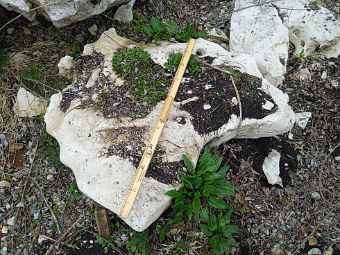 Kamenclub.ru: Выветренный известняк (степной) фр. 500-1500 мм.  купить в Балашихе    10000 руб/т   фото КАМЕНЬ КЛУБ