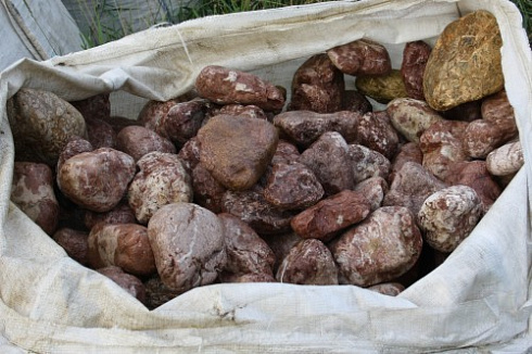 Kamenclub.ru: Розовый валунчик фр.100-300 мм.  купить в Балашихе крупный природный камень розовый, серый молочный красный речной галечник природный 7850 руб/т   фото КАМЕНЬ КЛУБ